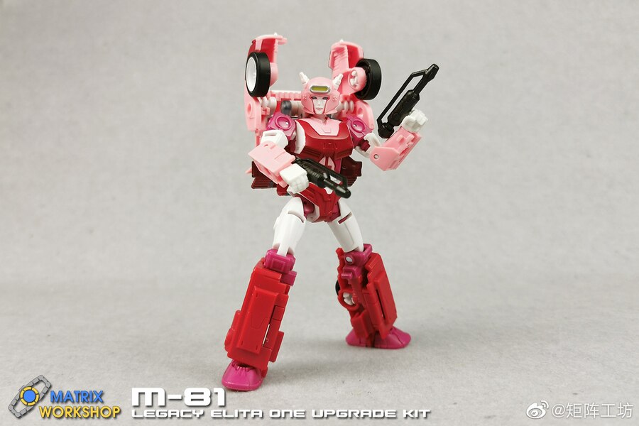 Matrix Workshop Legacy M 81 Elita 1 Upgrade Kit Image  (11 of 12)